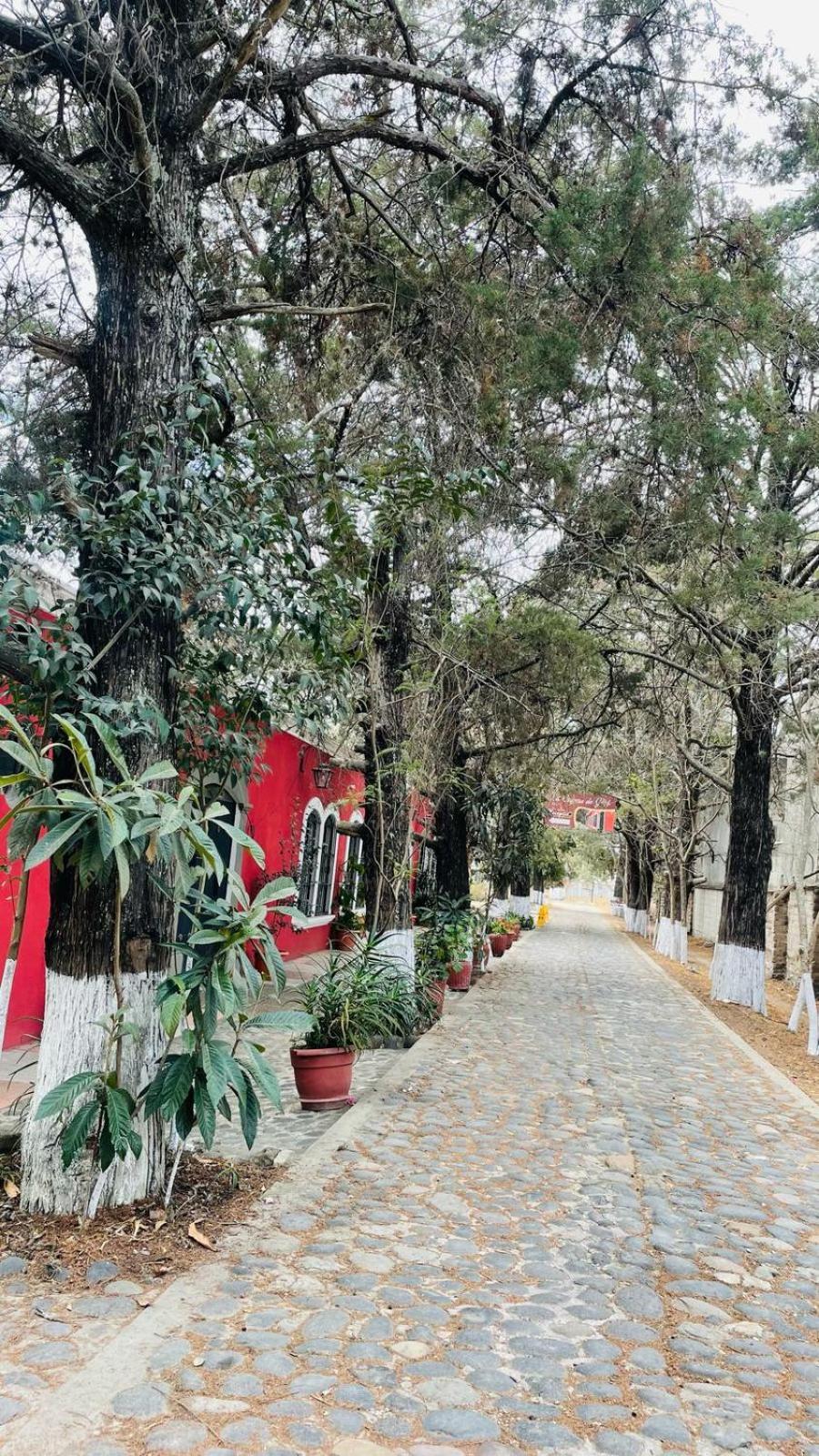 La Chacra De Joel Hotel Huehuetenango Exteriér fotografie
